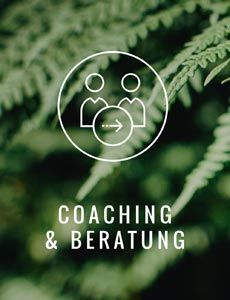 Coaching und Beratung Teaser